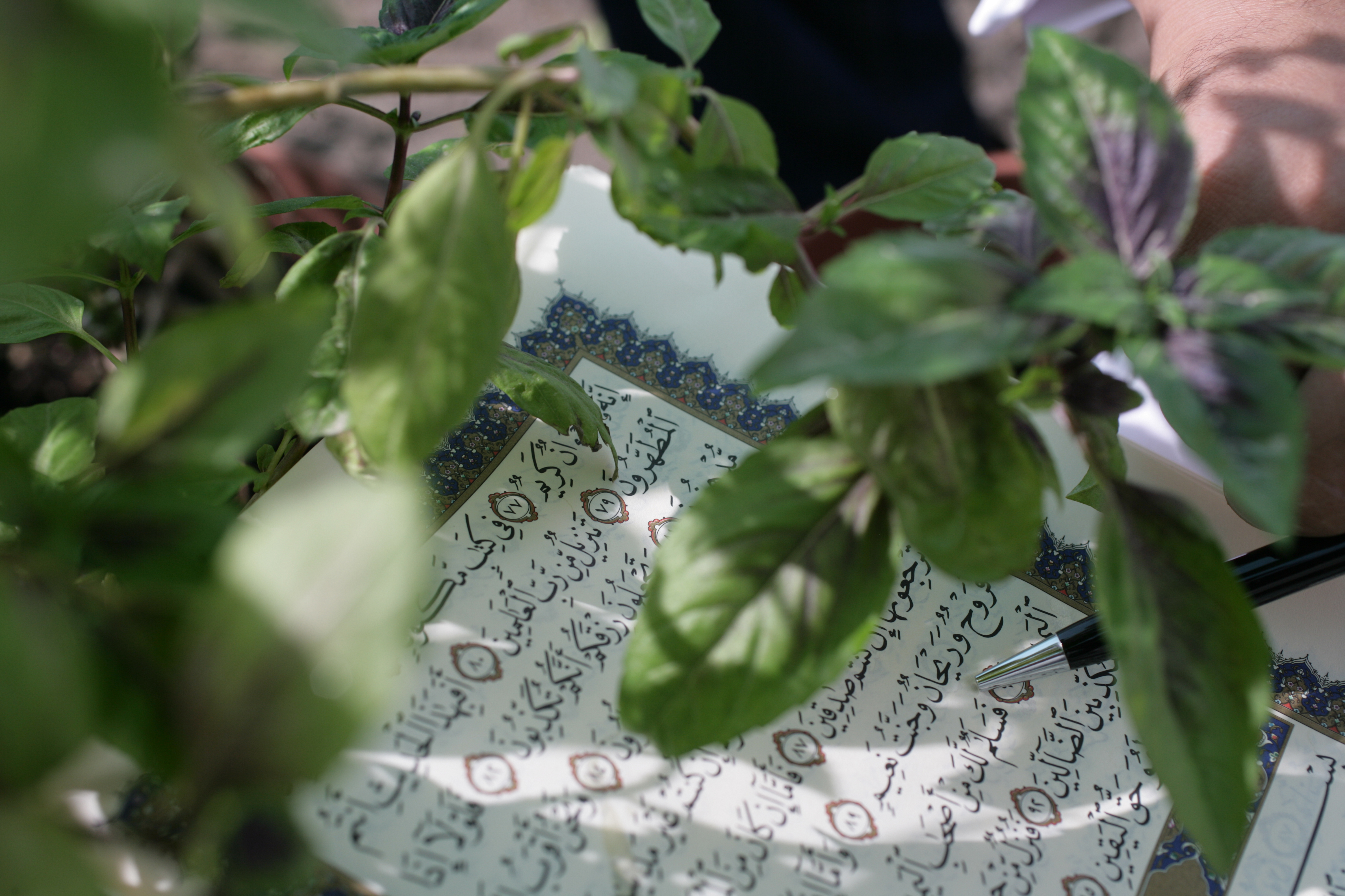 COM002 - Heritage image