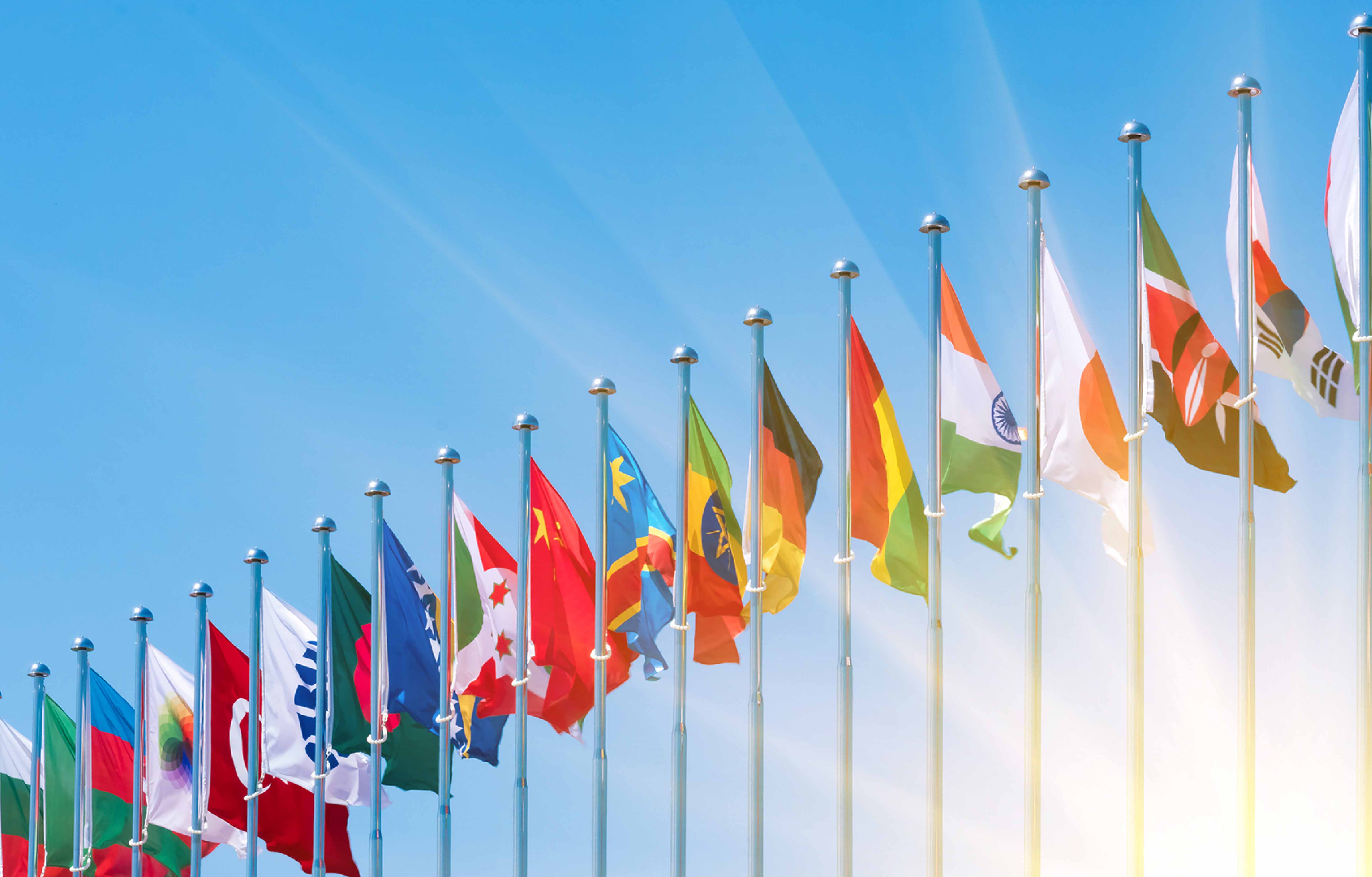 The Role of Higher Education Institutions in Diplomatic Interventions