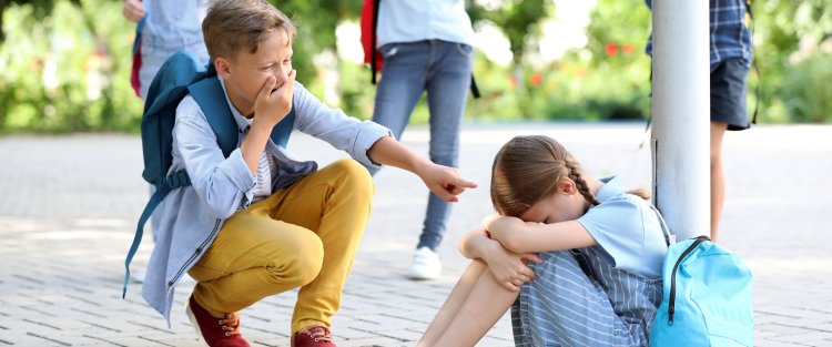 Is your child a bully? QF Child and Adolescent Mental Health Team offers signs for parents