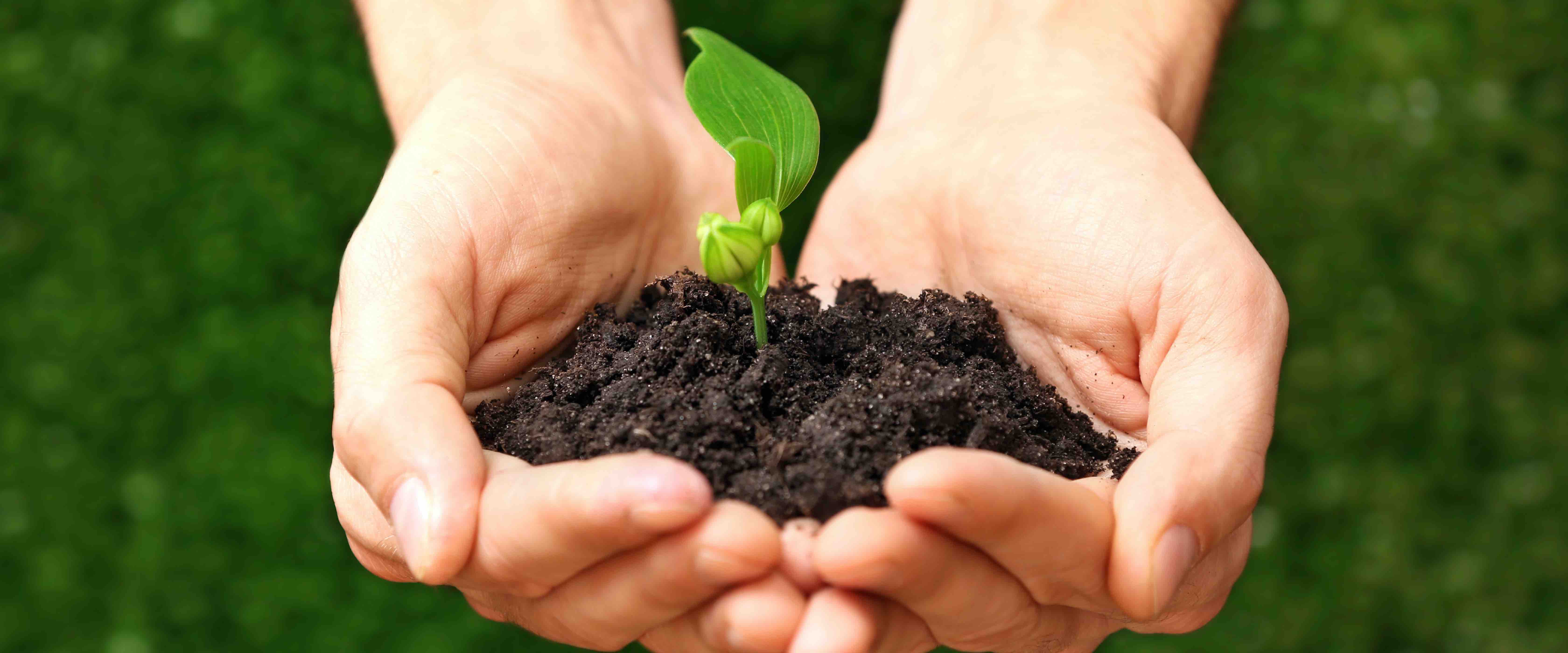  ما بعد الاستدامة 