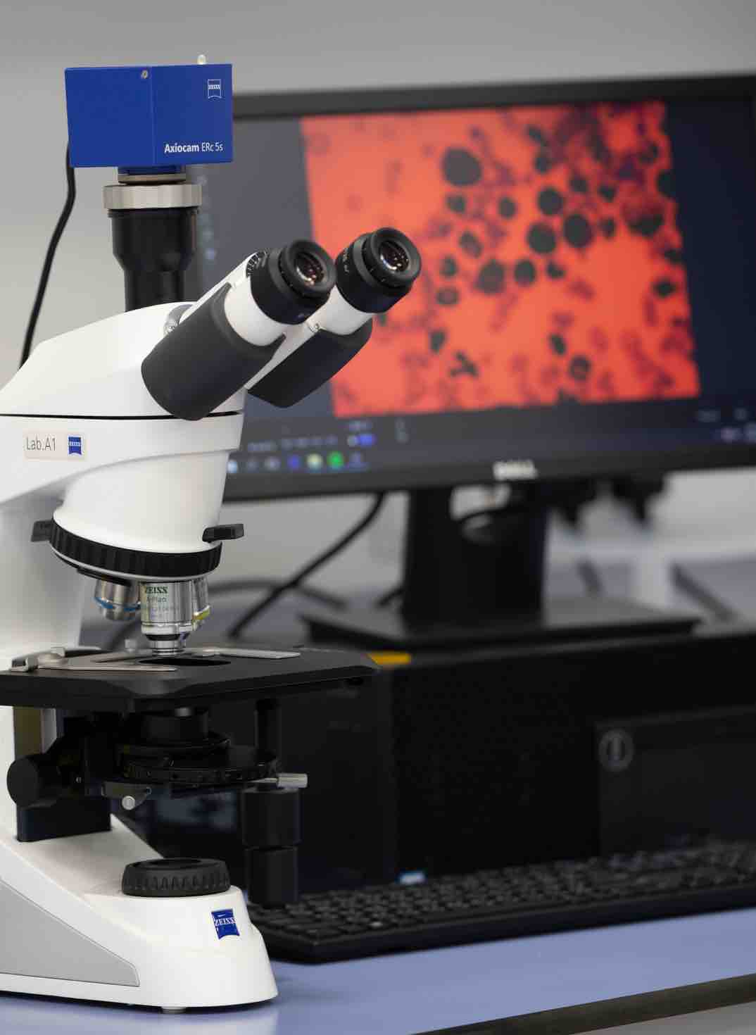 HH EVMC Opening - v - 2