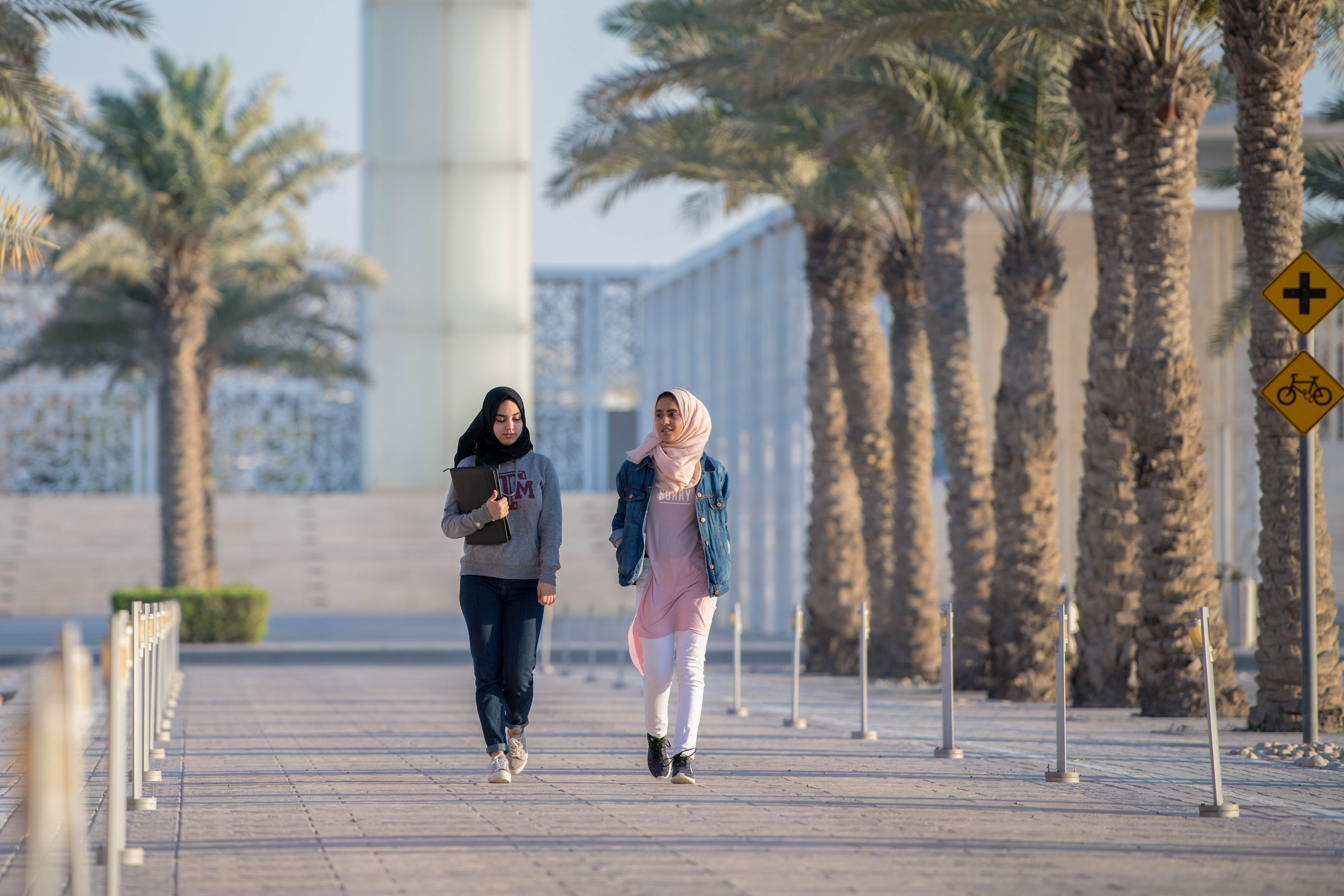 EDU001-5 - Why is Qatar’s percentage of female engineering students double that of the US