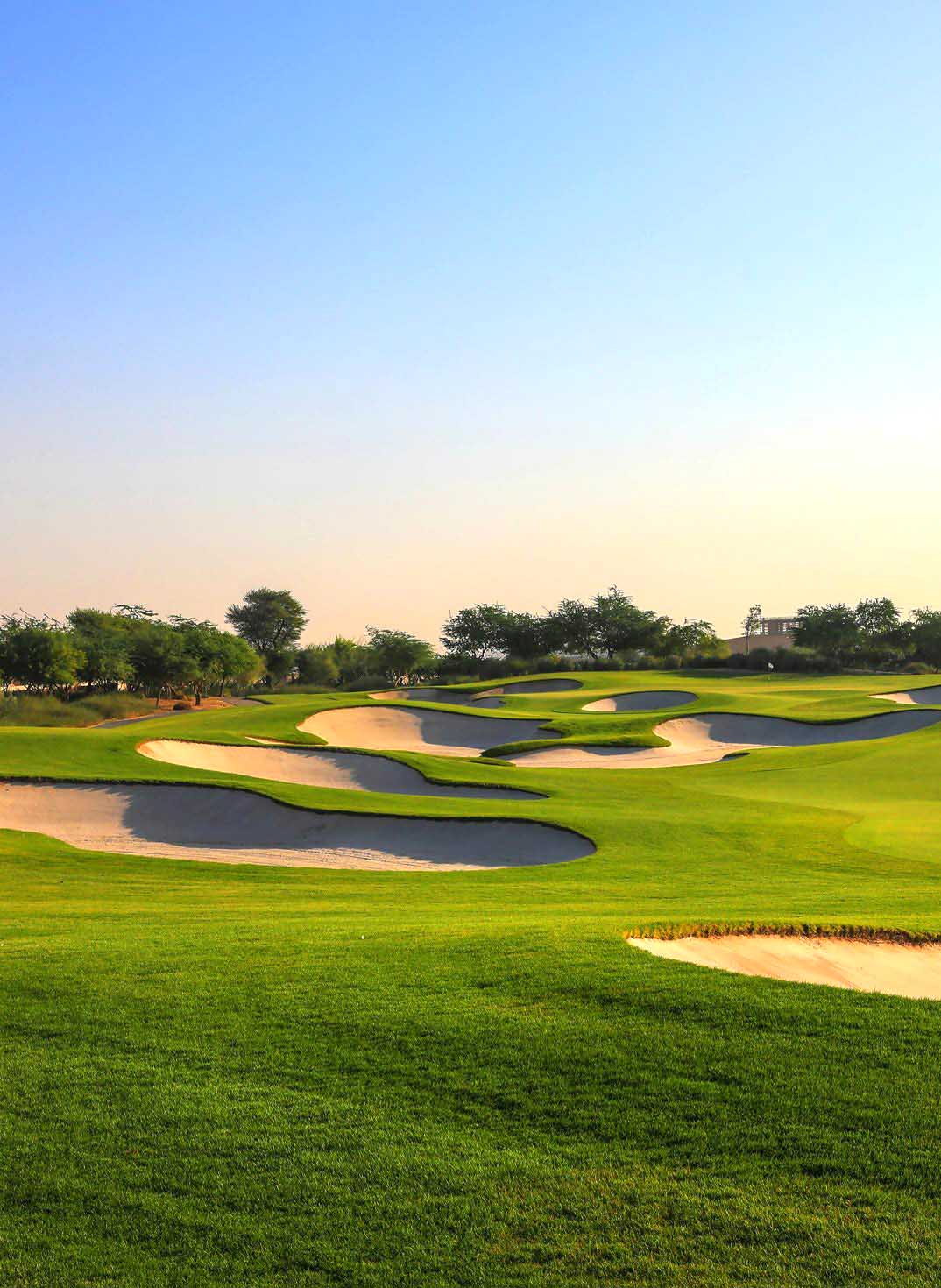 HBKU - Golf - Susan L. Karamanian- v - 2