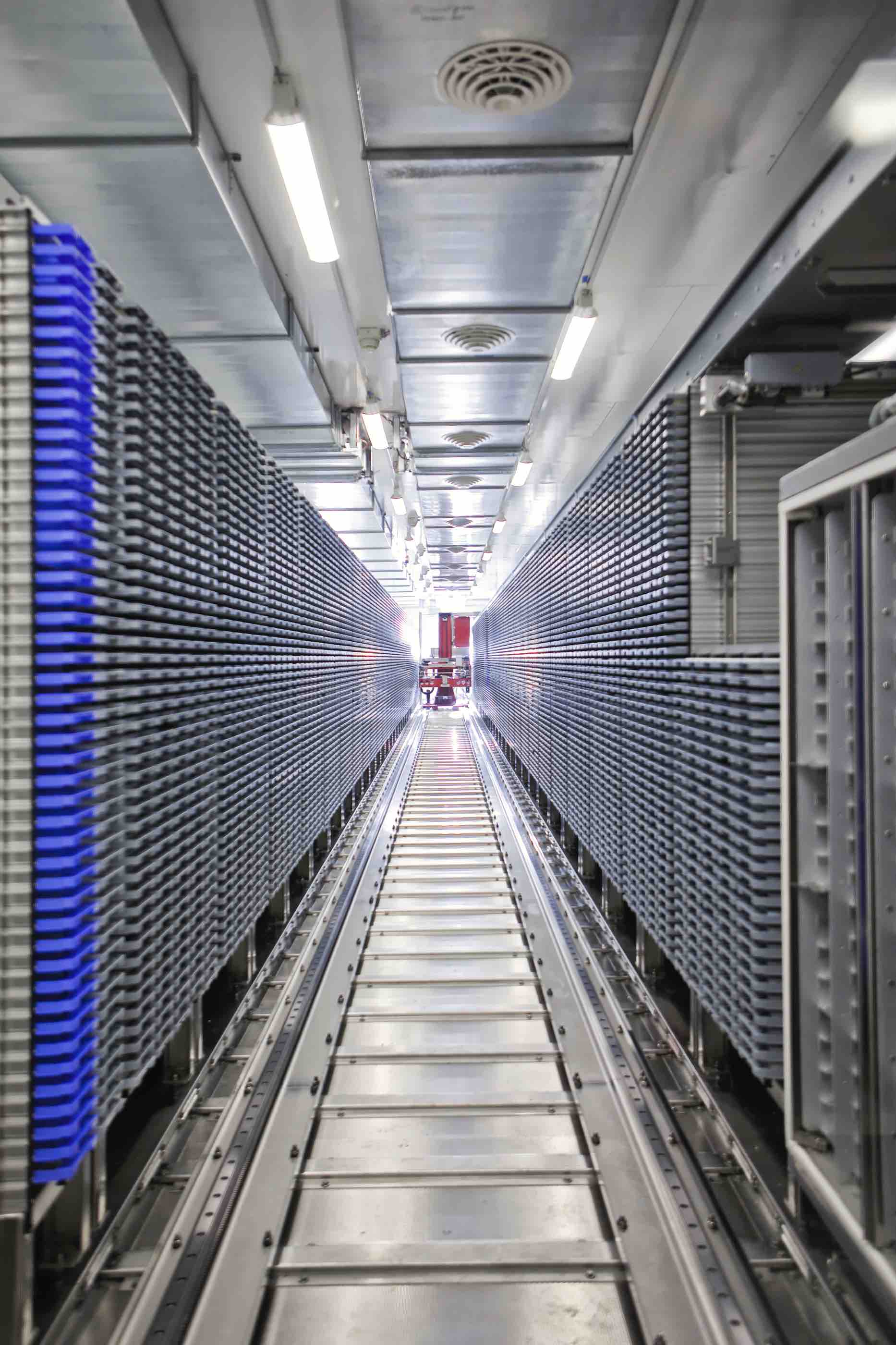 This is why we love science, say QF students - QF - 03