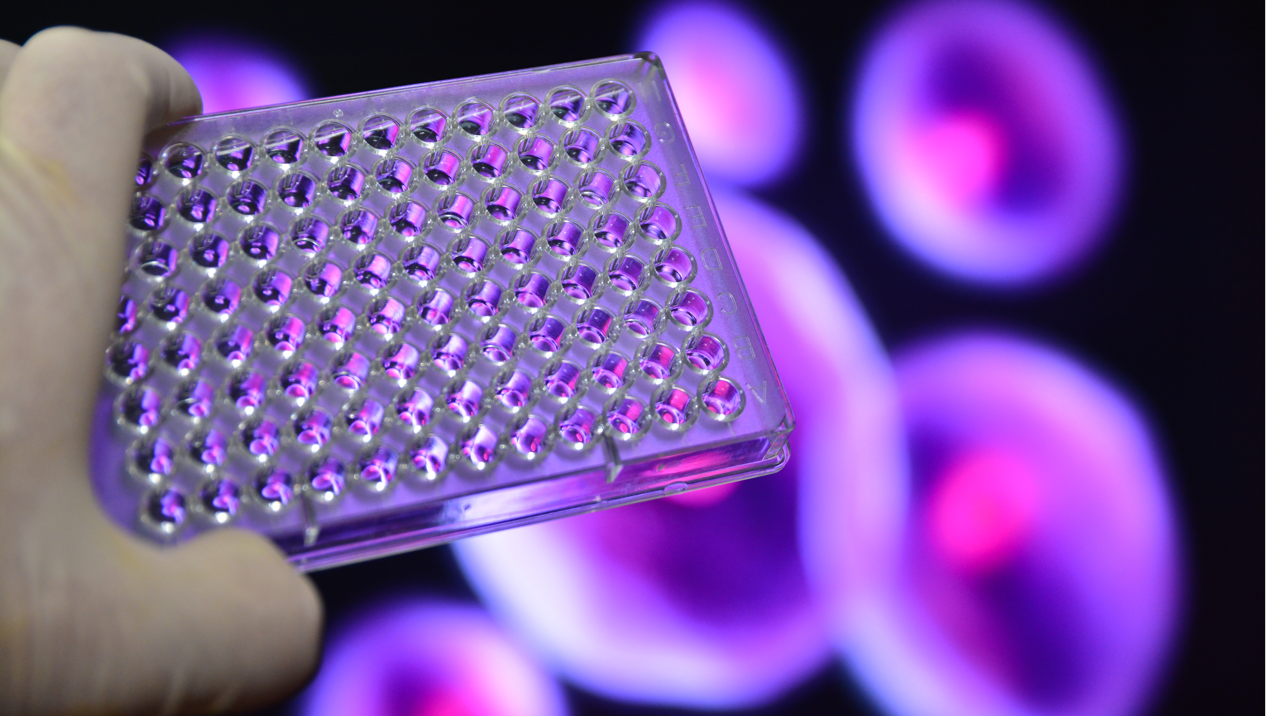 image4-shutterstock 360328754