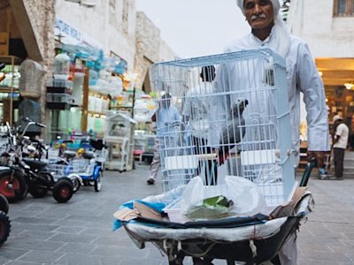 Doha Photography (5)