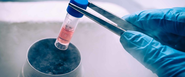 باحثة قطرية في الخلايا الجذعية: "مُتعة العلوم لا تكمن في الإنجاز فقط بل في الرحلة نفسها"