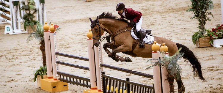 Riders shine as QF’s Al Shaqab holds first Showjumping Competition