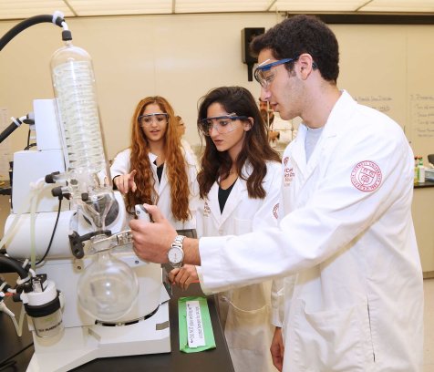 Students Weill Cornell Medicine - Qatar 4