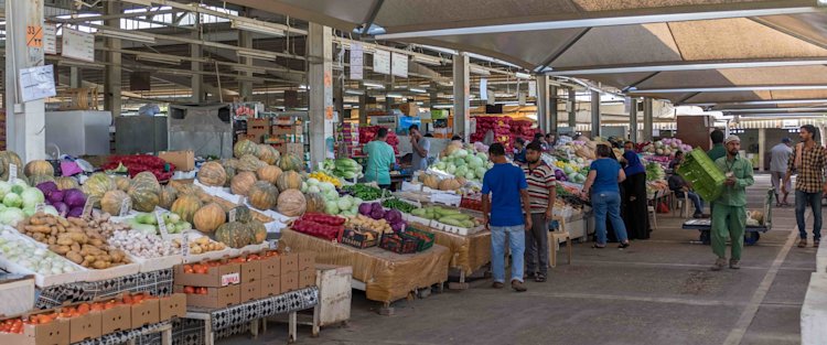 Qatar’s experience in agricultural sustainability offers resilience in times of crisis: QF webinar
