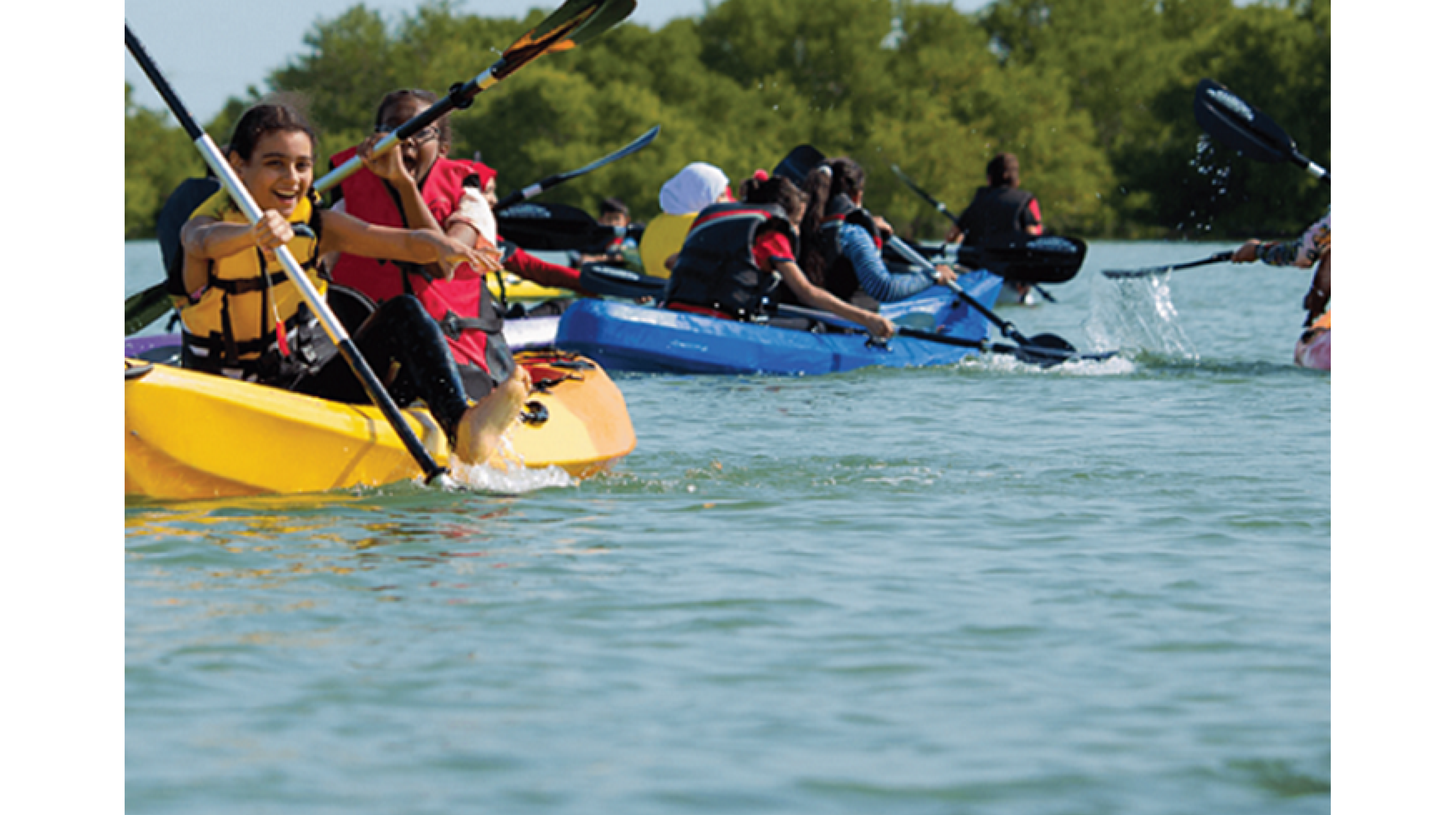 Image 2 - Kayaking in the mangroves