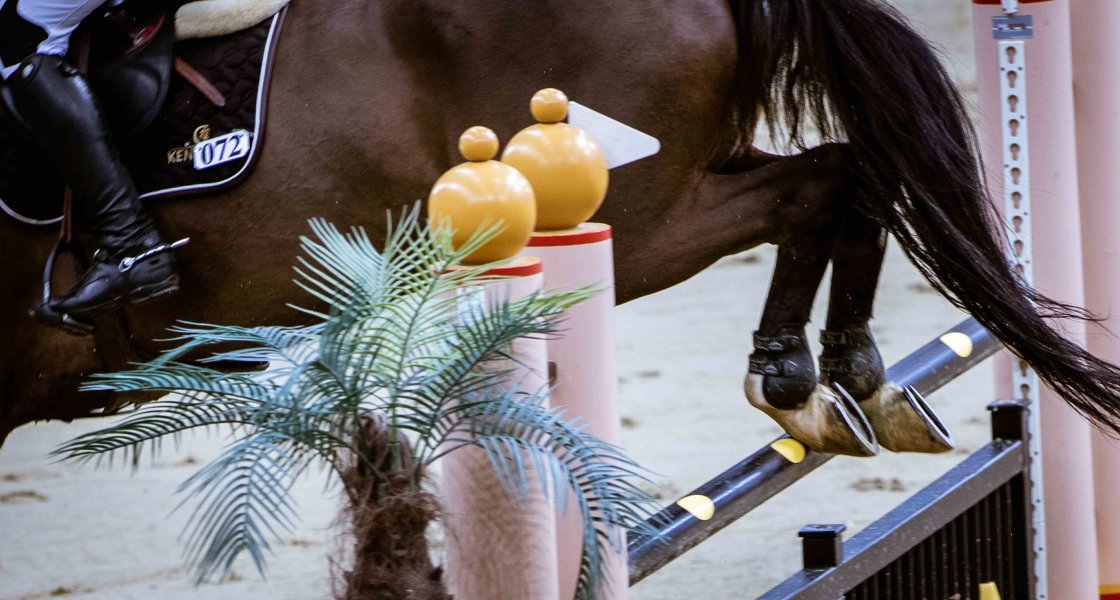 Al Shaqab Showjumping Competition - 03