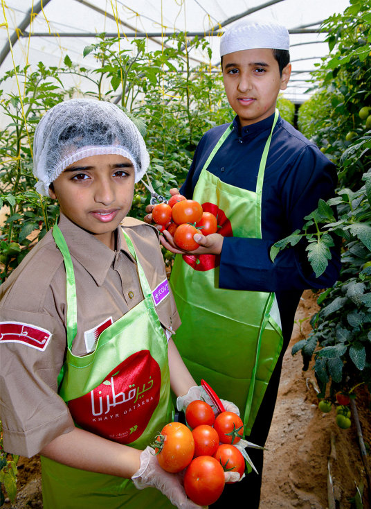 Food security - Greenhouse - Khayr Qatarna