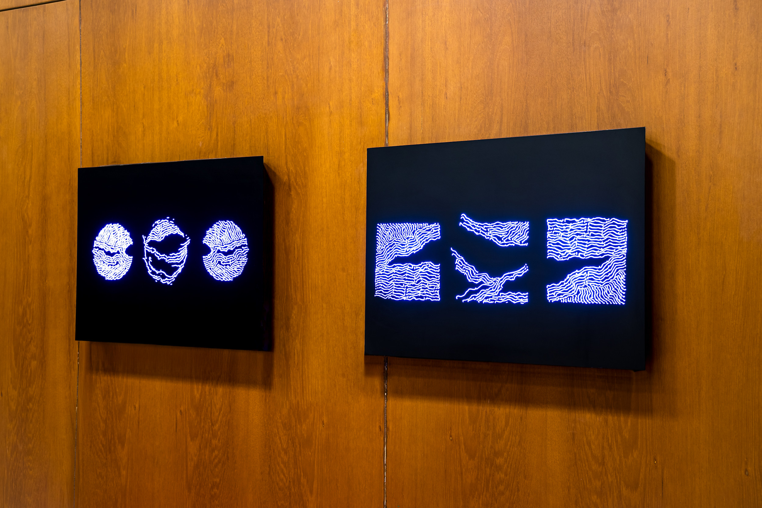 Untitled 20 (Lightbox) 03