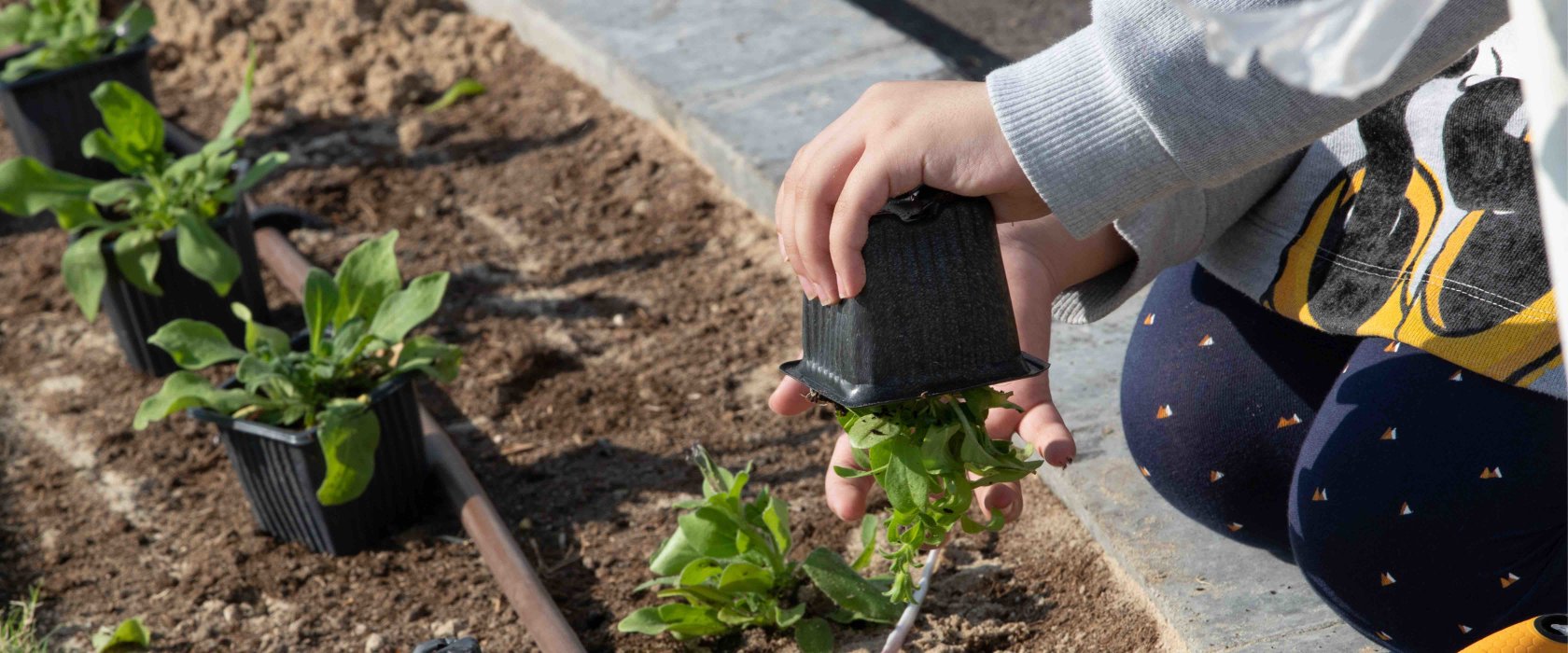 Educating the next generation of changemakers on sustainability