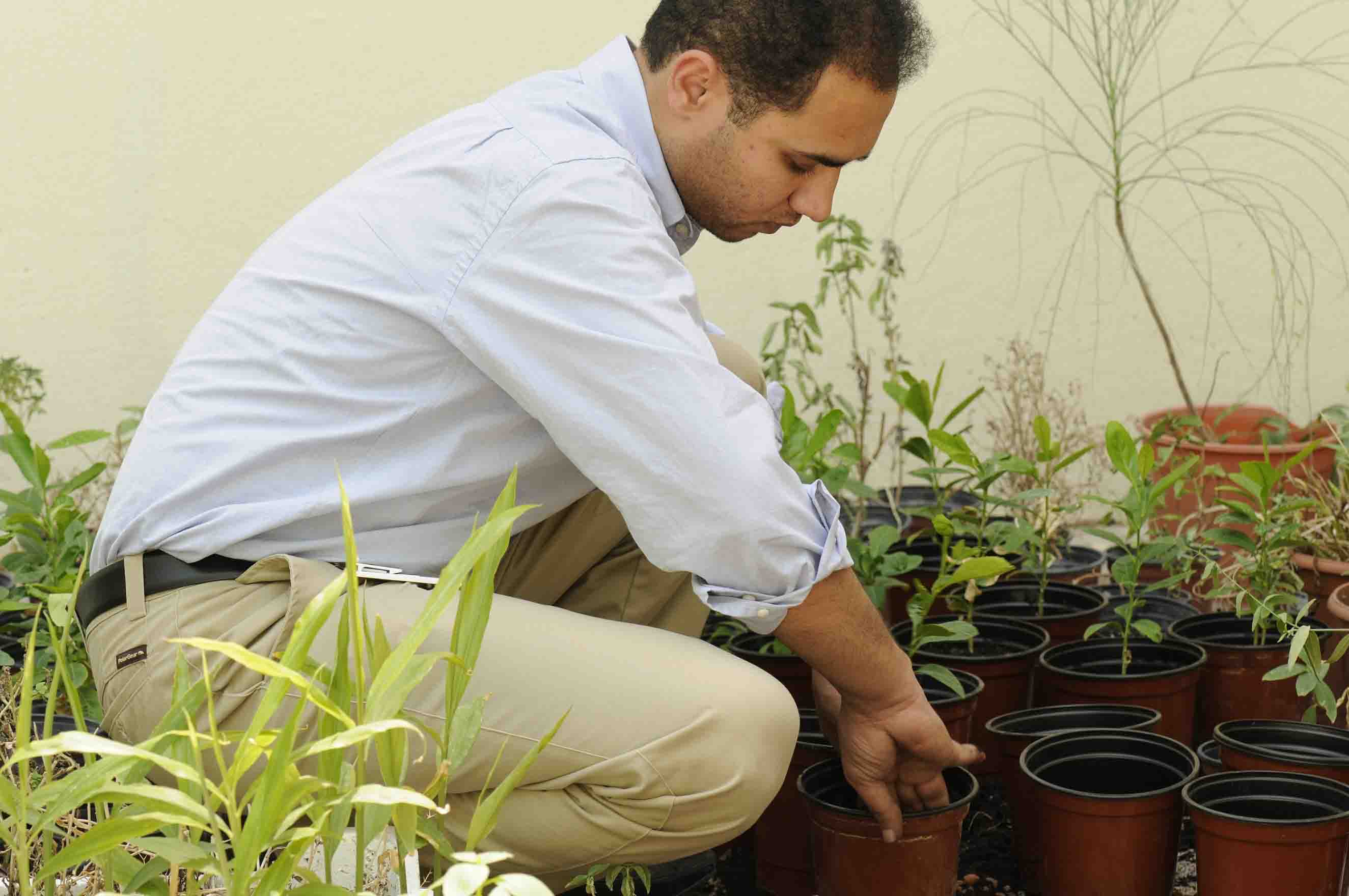 Mohamed Hassona, a horticulture expert, Qur’anic Botanic Garden