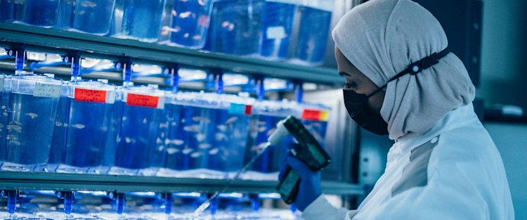 التعديل الجيني للأجنة: نعمة أم نقمة على البشرية؟