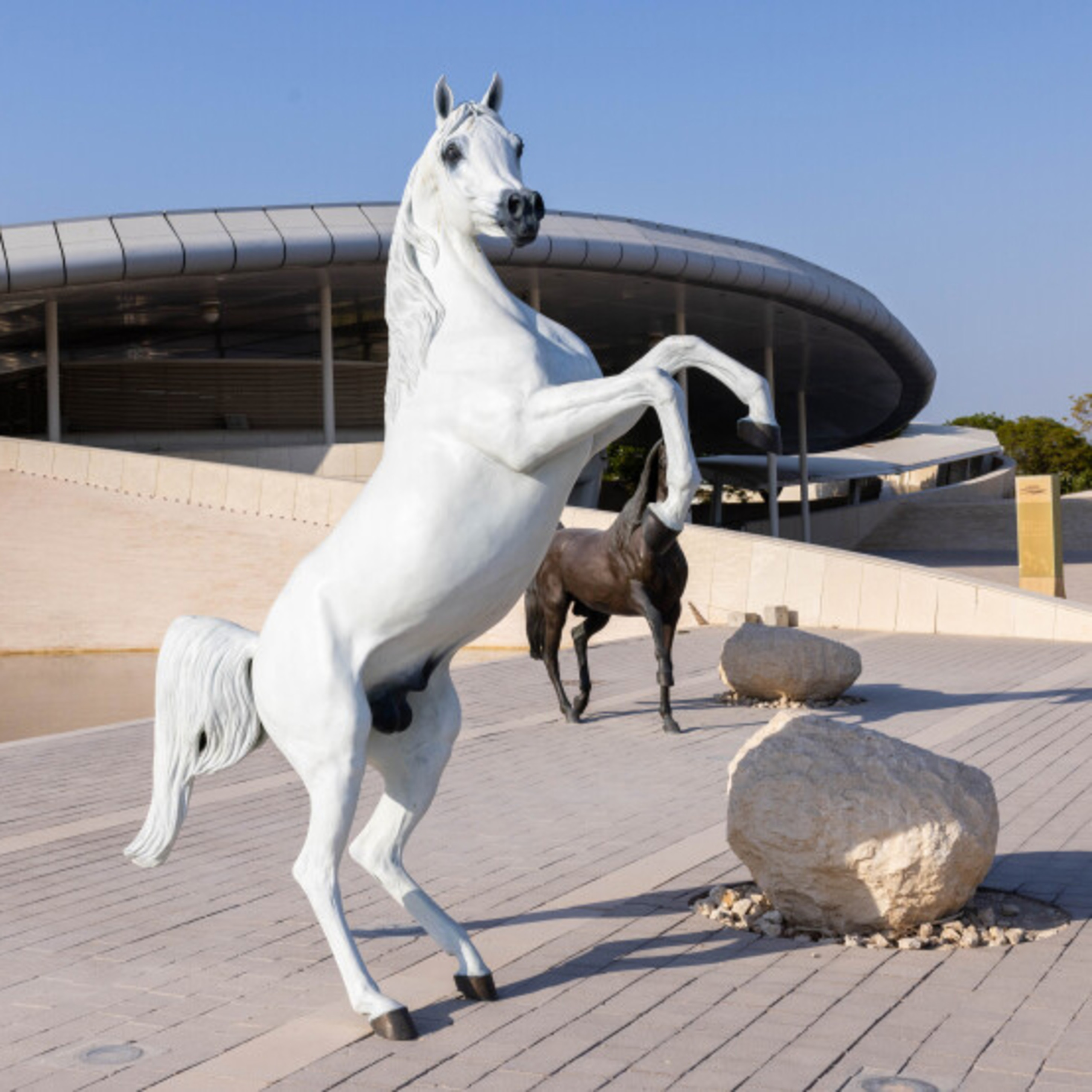 Gazal Al Shaqab
