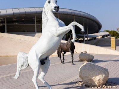 Gazal Al Shaqab