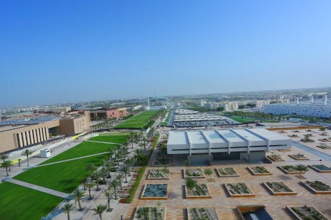 Education City Aerial View 1