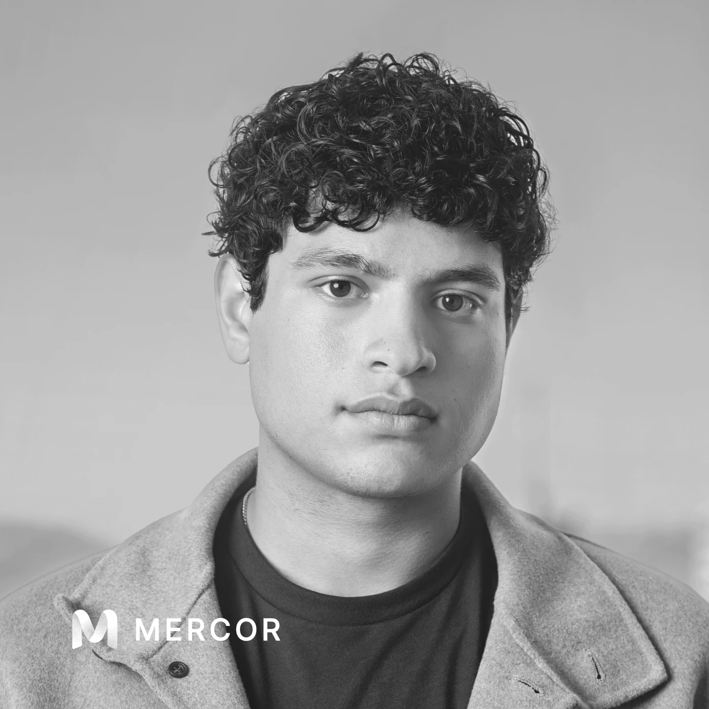 Adarsh Hiremath, Mercor