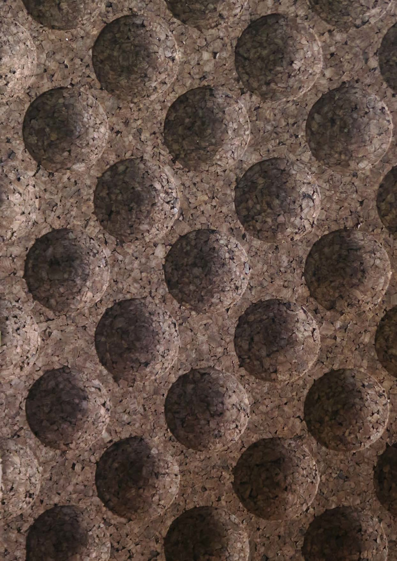 PointCloud M1 Sample Image