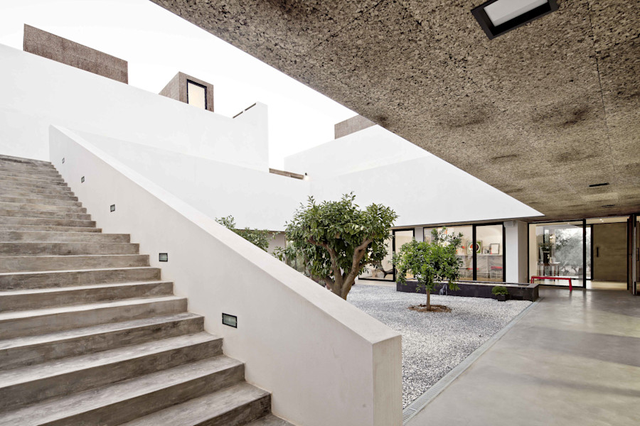 Amorim Cork Gallery 001