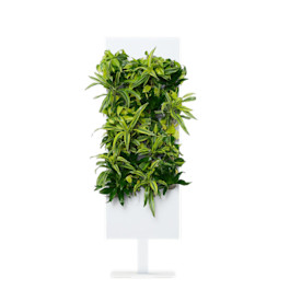 Snow SKU Image