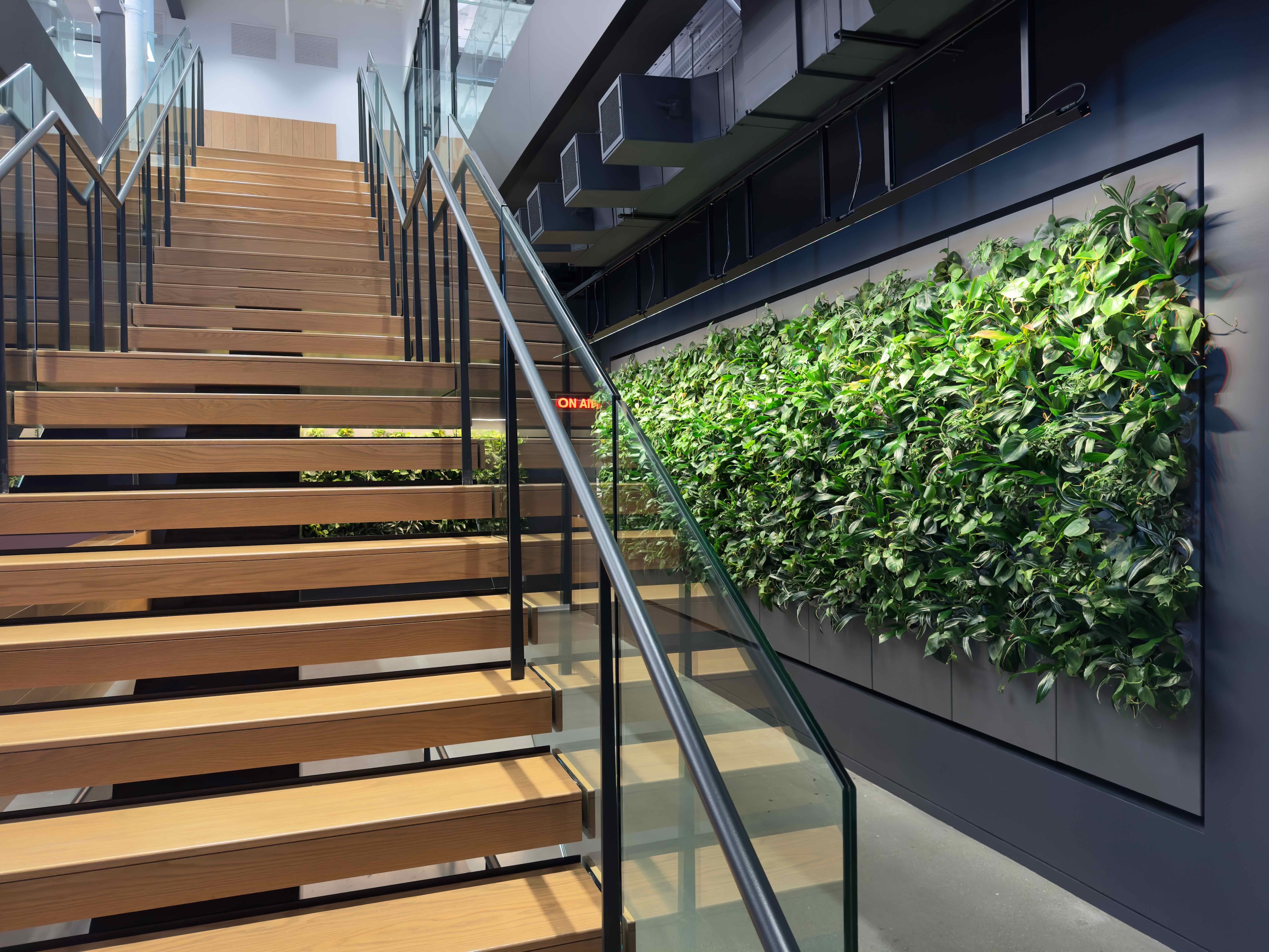 Biome-Gallery-2