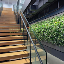 Biome-Gallery-2