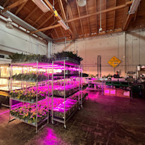 Biome-Gallery-15