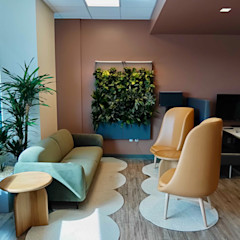 Biome-Gallery-49