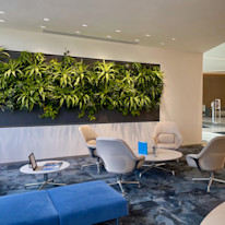 Biome-Gallery-50