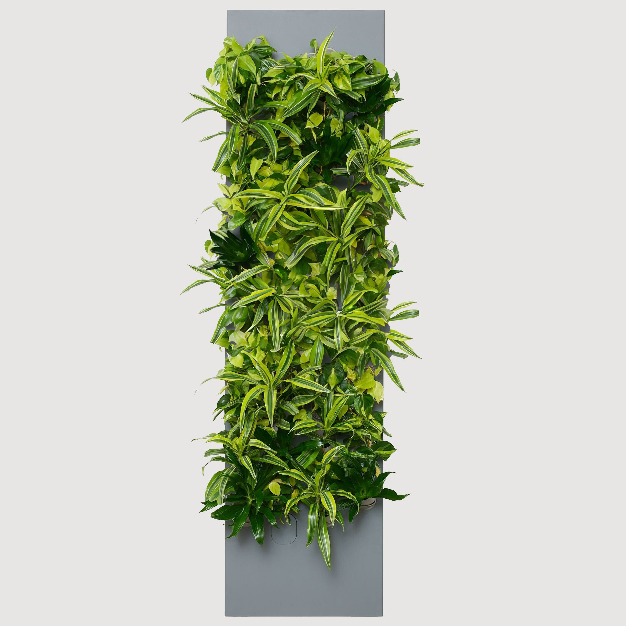 Slate SKU Image