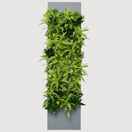 Slate SKU Image