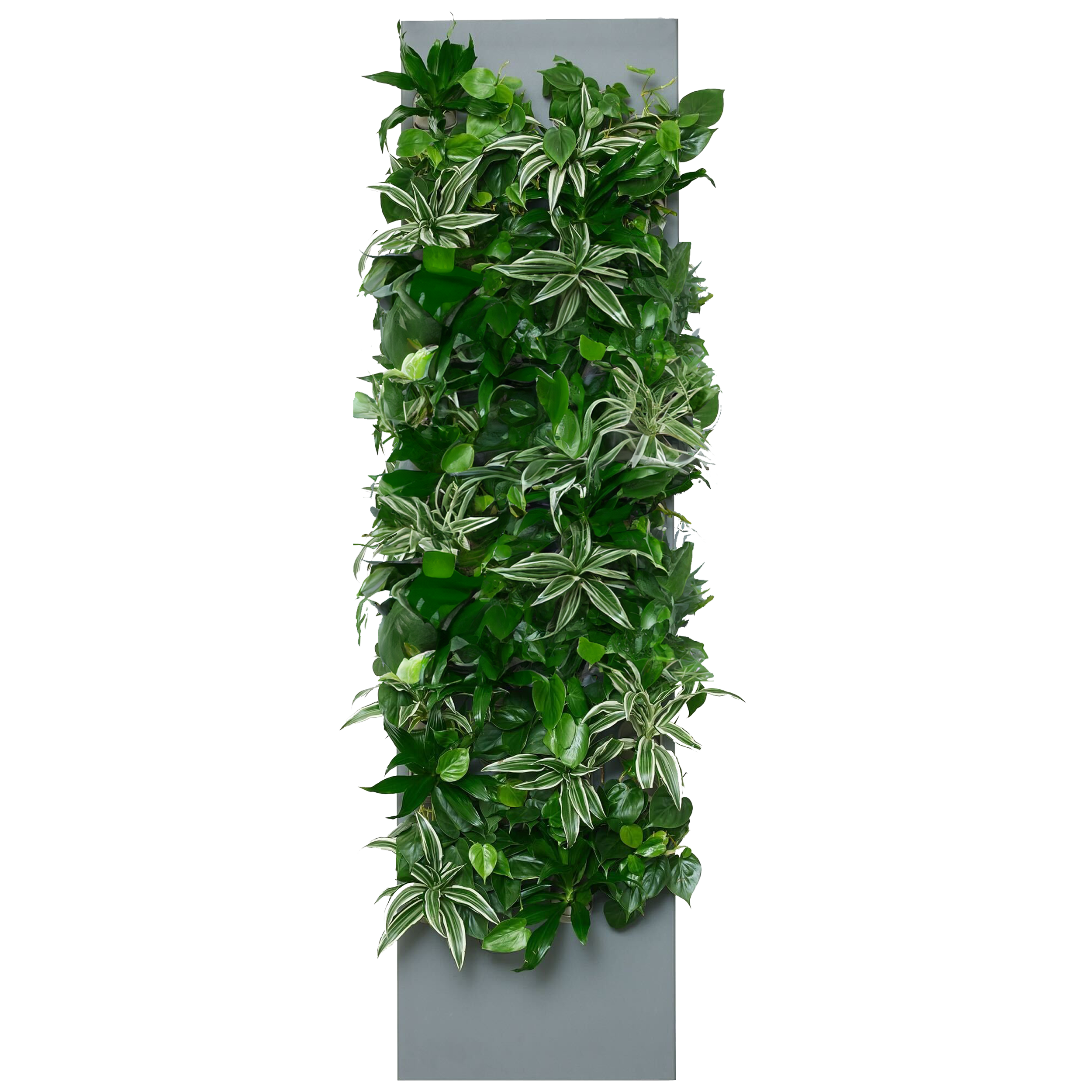Taiga 4 Max - Slate - Evergreen SKU Image