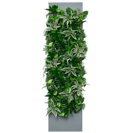 Taiga 4 Max - Slate - Evergreen SKU Image