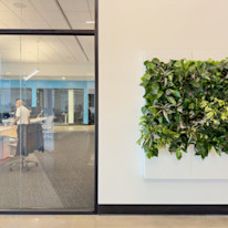 Biome-Gallery-41
