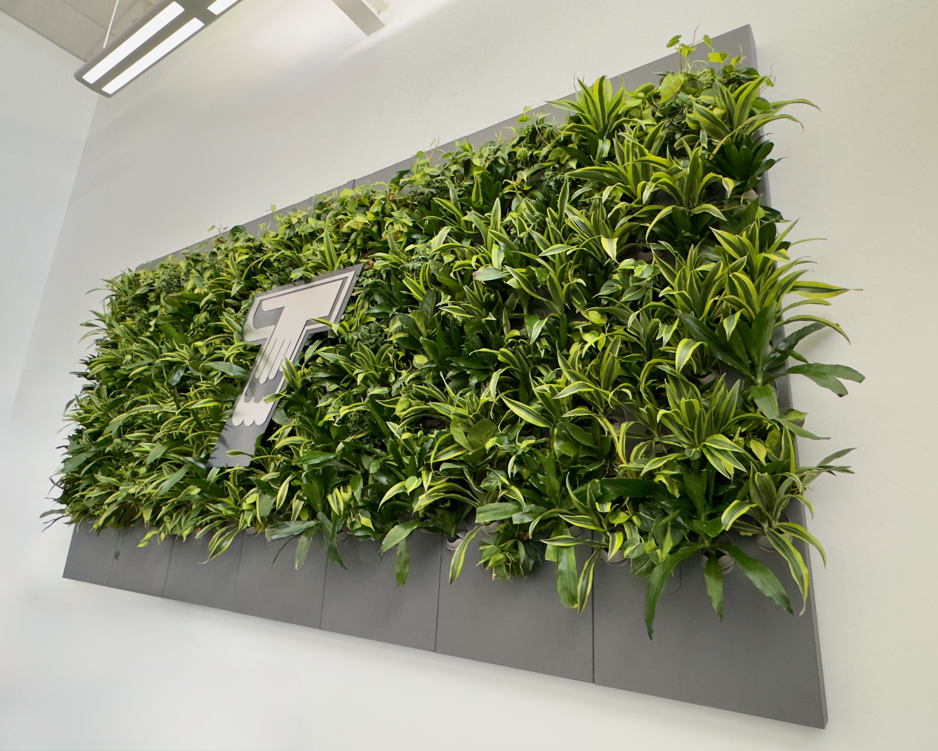 Biome-Gallery-1