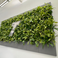 Biome-Gallery-1