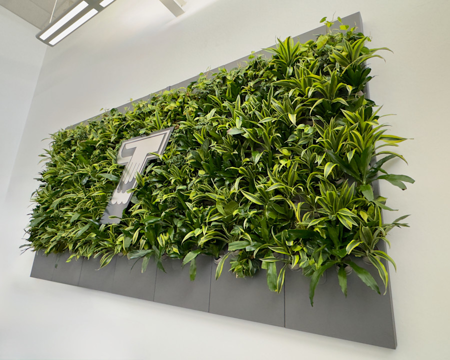 Biome-Gallery-1