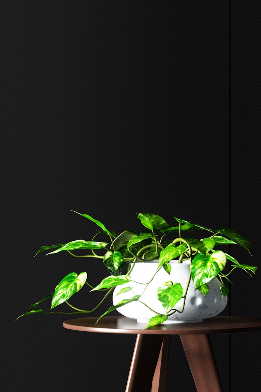 Tekstur A1 in Ebony 101 with Planter