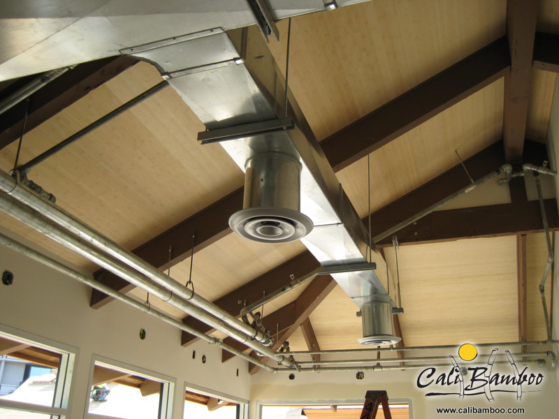 Cali Bamboo Gallery 013