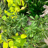 Biome-Gallery-11