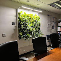 Biome-Gallery-12