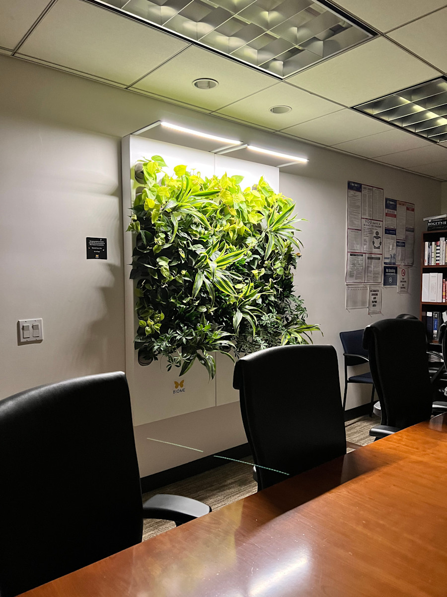 Biome-Gallery-12