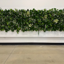 Biome-Gallery-43