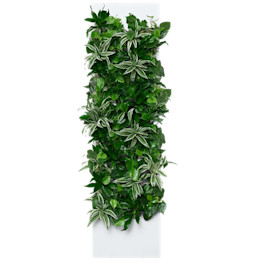 Taiga 4 Max - Snow - Evergreen SKU Image
