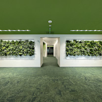 Biome-Gallery-25