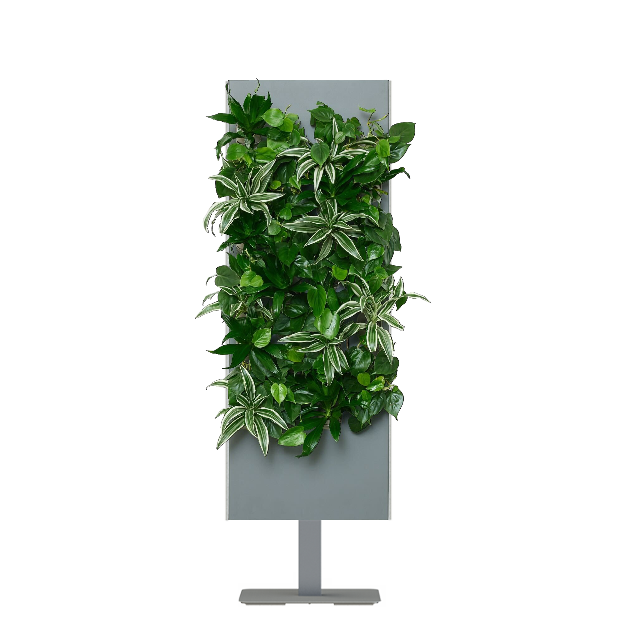 Slate SKU Image